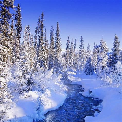 10 New Winter Wonderland Screensavers Free Full Hd - Real Winter Landscape (#1903611) - HD ...