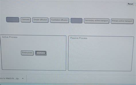 Solved substances can move across the plasma membrane and | Chegg.com