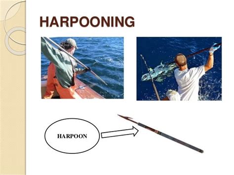 Harpoon fishing method