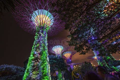 Gardens by the Bay at Night Stock Image - Image of marina, manmade ...