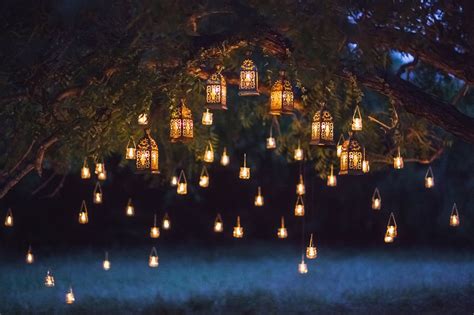 Outdoor tree lighting ideas: 11 ways to create a gorgeously glowing scene | Gardeningetc