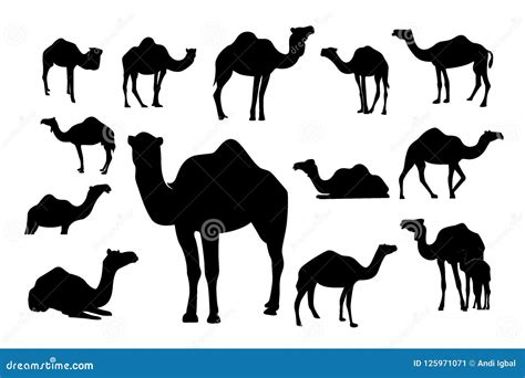 Collection of Silhouette Camel Mammal Vector Illustration, Arabic ...