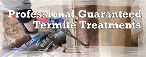 San Diego Low Cost Guaranteed Termite Control and Prevention Treatment