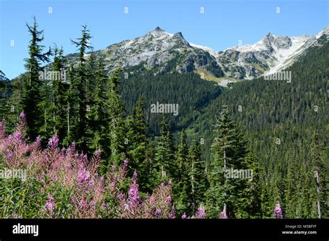 Rainbow summit british columbia hi-res stock photography and images - Alamy