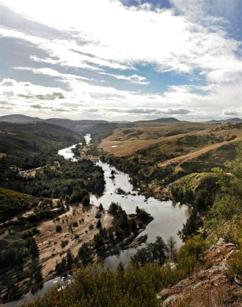 Webs, Weeds and Wisdom: I am Voter. Hear Me Roar | Yass Tribune | Yass, NSW