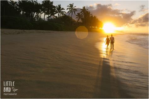 Tears | North shore beach photographer | Fun Oahu Family Photography ...