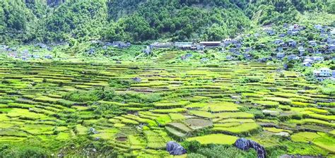 VIDEO: Sagada Rice Terraces Aerial Tour