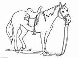 Realistic horse coloring Pages To Download And print For free sketch template