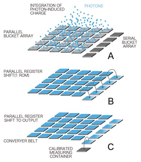 A visual guide to CCD vs. EM-CCD vs. CMOS | Hamamatsu Photonics