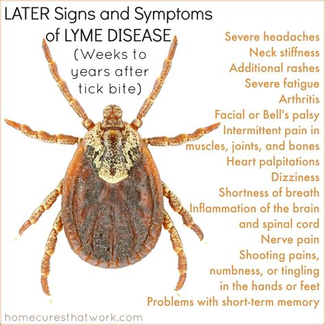 Lyme Disease - The New All-round Challenge - Dr. Manja Podratz