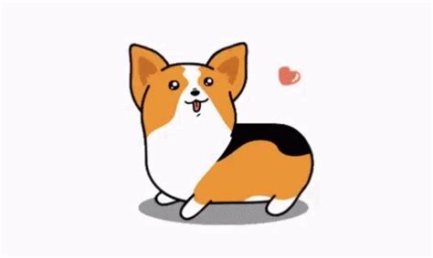 Corgi Happy GIF - Corgi Happy Cute - Discover & Share GIFs