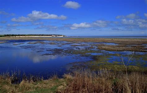 Bird Deception on the Kent Coast – Sandwich Bay - Great British Coast