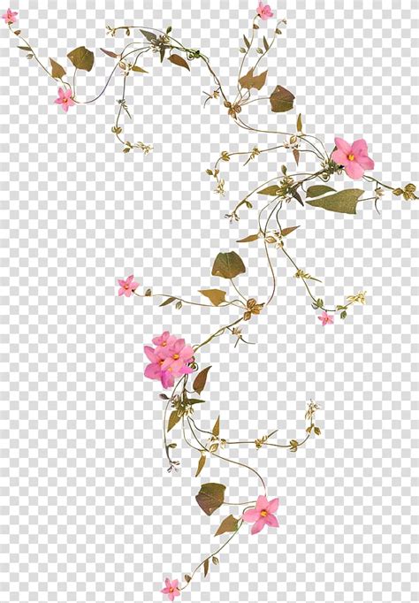 flower vines png 10 free Cliparts | Download images on Clipground 2024