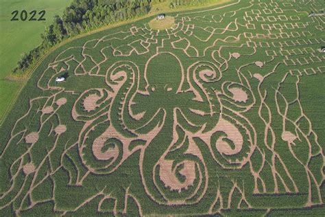 Largest Corn Maze in New England is So Big It Takes Over 2 Hours