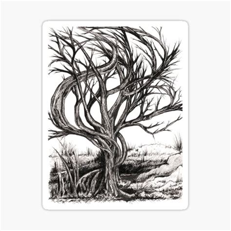 "Twisted Tree, Ink Drawing" Sticker for Sale by djsmith70 | Redbubble