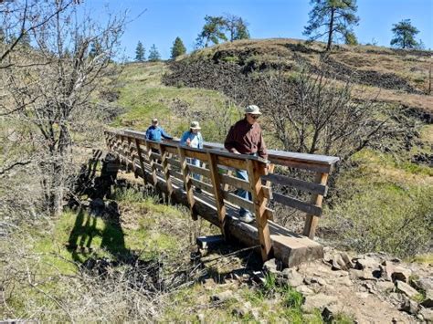 Columbia River Gorge Hiking Guide: From Waterfalls to Wildflowers