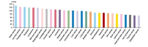 Targeting Overexpressed Cyclin Dependent Kinase 1 (CDK1) in Human ...