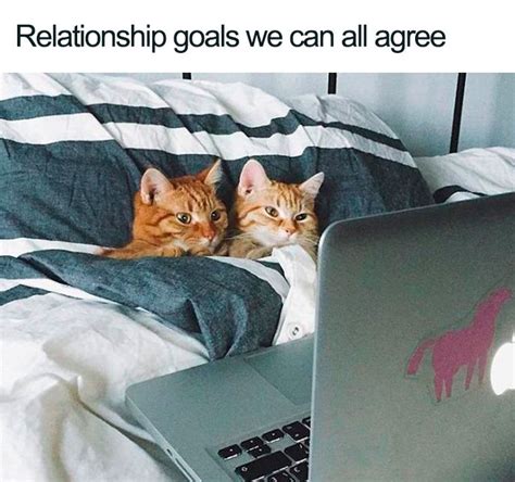 32 Relatable Relationship Memes That Are Funny Enough To Freshen Up ...