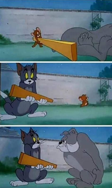 "Tom,Jerry & Spike" Meme template : r/Yonko_Commander