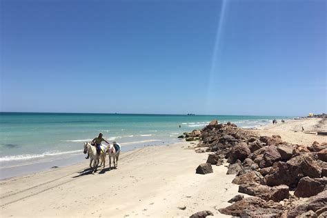 Djerba: Tunisia's most harmonious multicultural island | The Independent