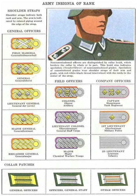 √ German Army Ranks Nato - Leutgard