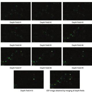 Edge detection on multiple images from different depths. To show that ...