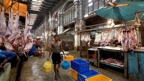 Petition · Close all slaughter houses in India and give justice to ...