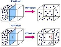 Blog of Chemistry: Diffusion and Effusion