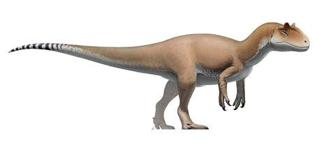 Allosaurus - Facts About The Famous Jurassic Dinsaur