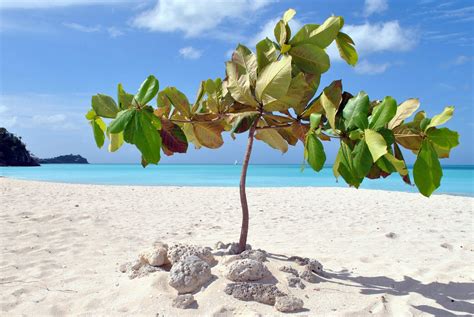 Antigua's 365 Beaches - One for Every Day of the Year - The Travel Agent