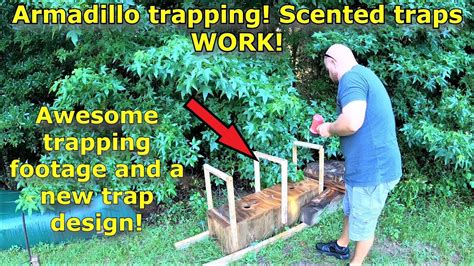 Armadillo trapping, scented traps WORK! A new trap design! #611 - YouTube