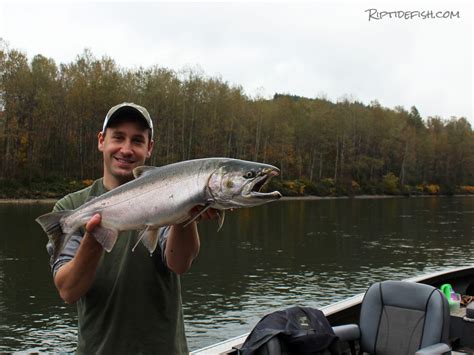 Snohomish River Salmon Fishing