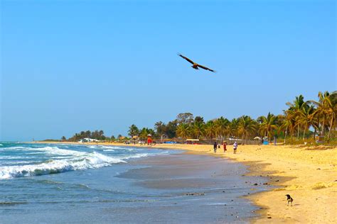 Puente de diciembre del 03 al 11/12 en las playas de Gambia, vuelos ...