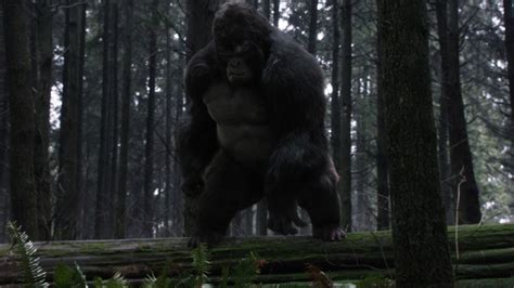 Is Gorilla Grodd Bringing the Apocalypse to 'The Flash'?