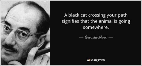 TOP 25 BLACK CAT QUOTES | A-Z Quotes