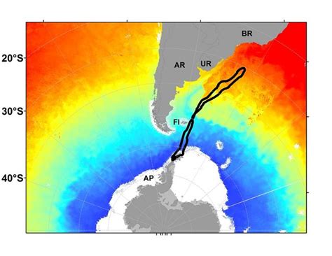 Antarctic Killer Whales Treat Skin with a Tropical Vacation | Live Science