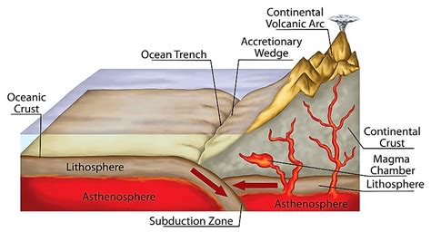 How Do Ocean Trenches Form? - WorldAtlas