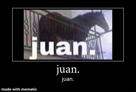 Juan the horse. : r/memes