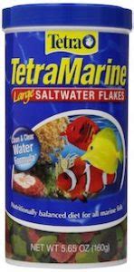 Best Saltwater Fish Foods