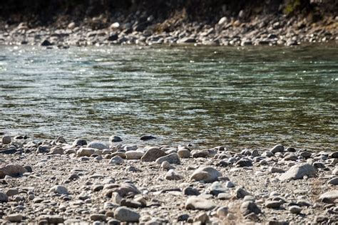 Free Photo | View of riverbed rocks