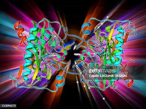 Methionine Structure Photos and Premium High Res Pictures - Getty Images