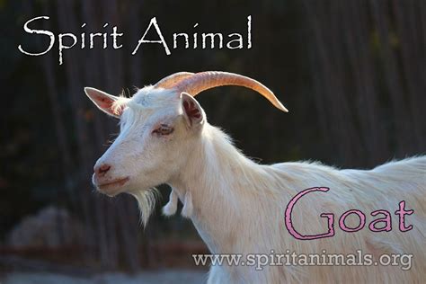 Goat Spirit Animal - Guide and Symbolism - Spirit Animals