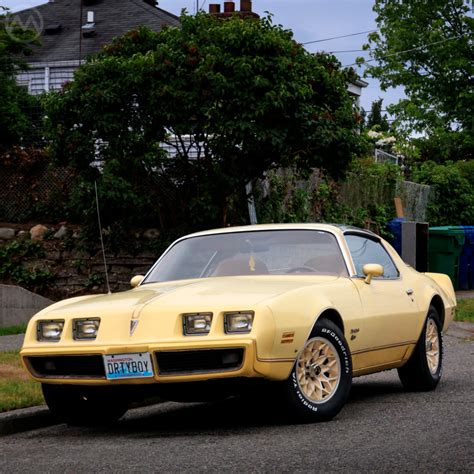 1980 Pontiac Yellowbird: Birds of a Feather - Old Motors