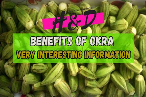 Benefits of Okra (10 Most Effective Benefits) - Essential Oils - Herbal Treatment - Health