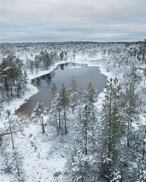 Winter in Estonia - Capture Estonia Nature and Photography Tours