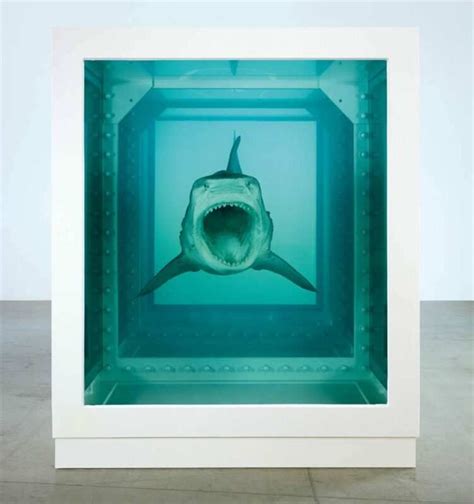 Why Did Damien Hirst Put a Shark in a Tank?