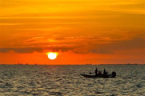 Barataria Bay at sunrise | Virtual field trips, Field trip, Picturesque