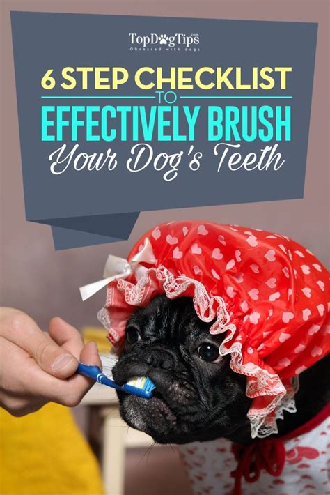 Brushing Teeth Checklist