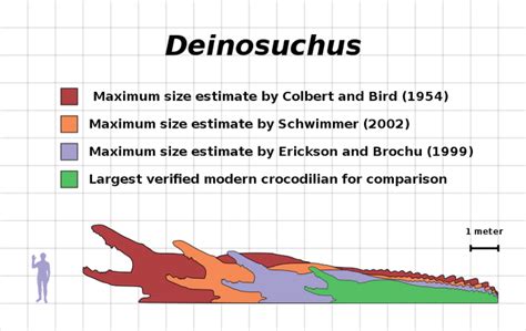 Image - Deinosuchus size estimate comparison chart.png | Fossil Wiki | FANDOM powered by Wikia