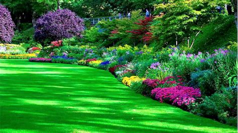 beautiful garden photo download | Beautiful gardens landscape, Garden ...